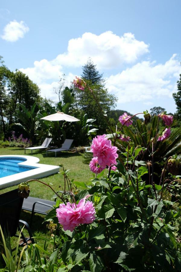 Pink House Azores Ponta Delgada Zewnętrze zdjęcie